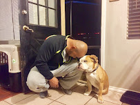 Four Paws Fine Grooming - Photo 3 - Car repair in San Angelo, TX, San Angelo