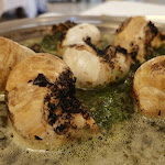 Photo n°5 de l'avis de Isabel.e fait le 01/03/2021 à 15:14 sur le  Trattoria La Coa' Di Tomas Beltramini à Pescantina