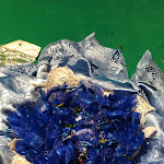 Photo n°9 de l'avis de Andrea.u fait le 10/09/2023 à 06:39 sur le  Frank Pizzeria Ristorante - Dal 1975 à Rende