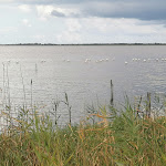 Photo n°10 de l'avis de Ezio.a fait le 01/09/2021 à 11:49 sur le  La terrazza sfizi e tramonti à Lesina