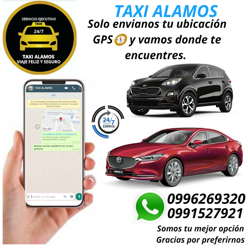 Servicio Ejecutivo Taxi Alamos