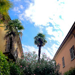 Photo n°1 de l'avis de jeroen.o fait le 29/08/2021 à 08:14 sur le  Caffè Gradisca à Arona