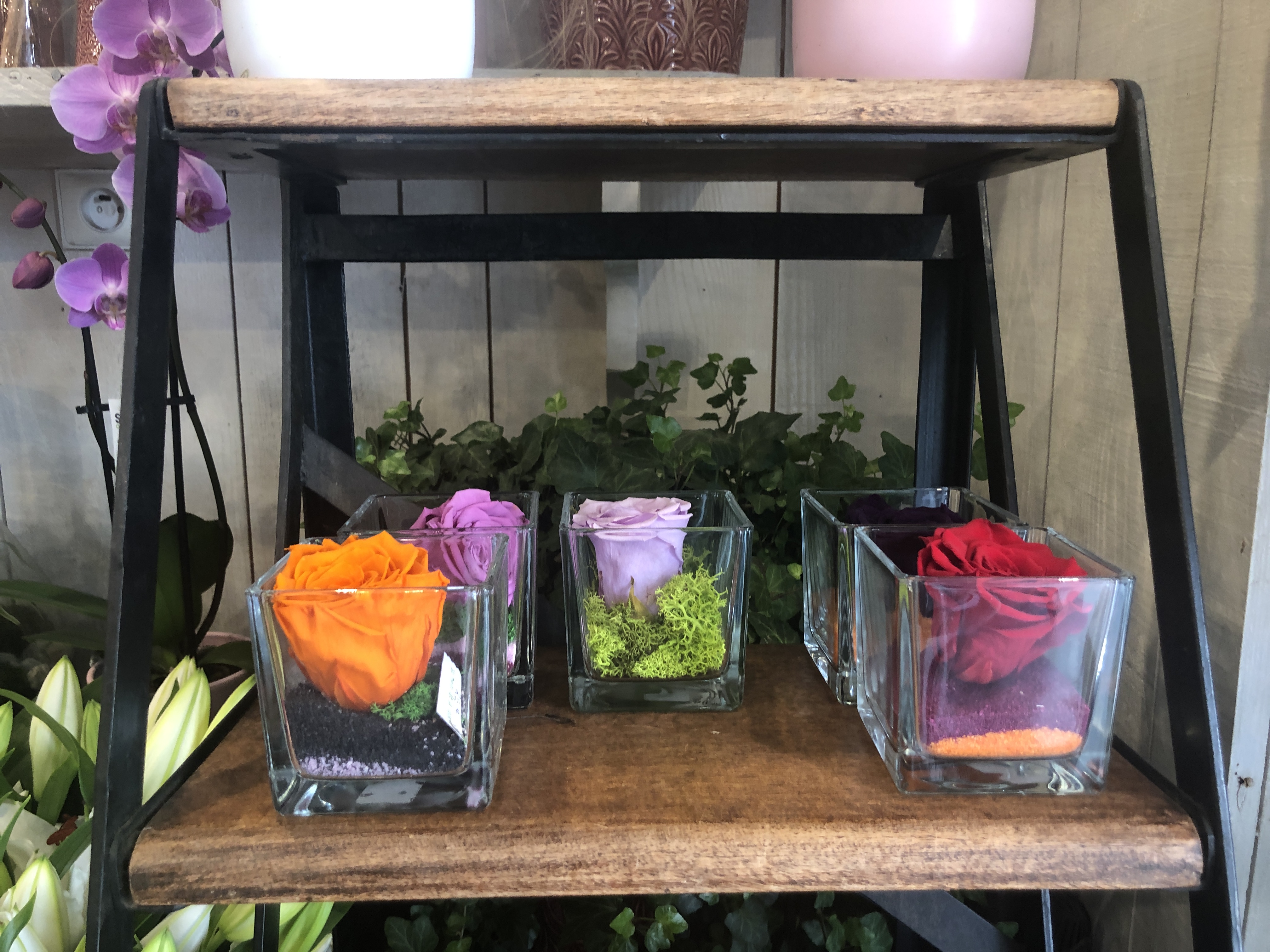 Photo n° 6 de l'avis de Hang.h fait le 18/07/2019 à 10:00