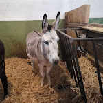 Photo n°1 de l'avis de Nikolina. fait le 03/02/2019 à 16:34 sur le  Landgasthof Alter Bahnhof à Heyerode