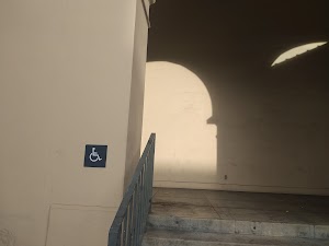 San Jose Civic - photo 68