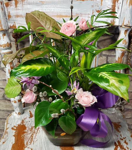 Florist «Carrolls Florist of Beverly», reviews and photos, 385 Cabot St, Beverly, MA 01915, USA