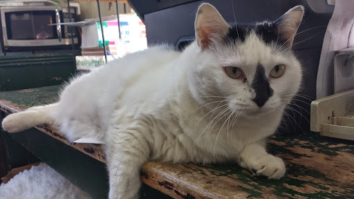 Florist «Flowers By Miss Bertha», reviews and photos, 2100 Nicollet Ave, Minneapolis, MN 55404, USA