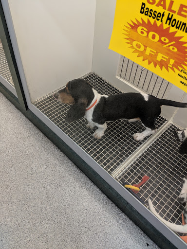 Pet Store «Petland Montgomery», reviews and photos, 7127 Eastchase Pkwy, Montgomery, AL 36117, USA