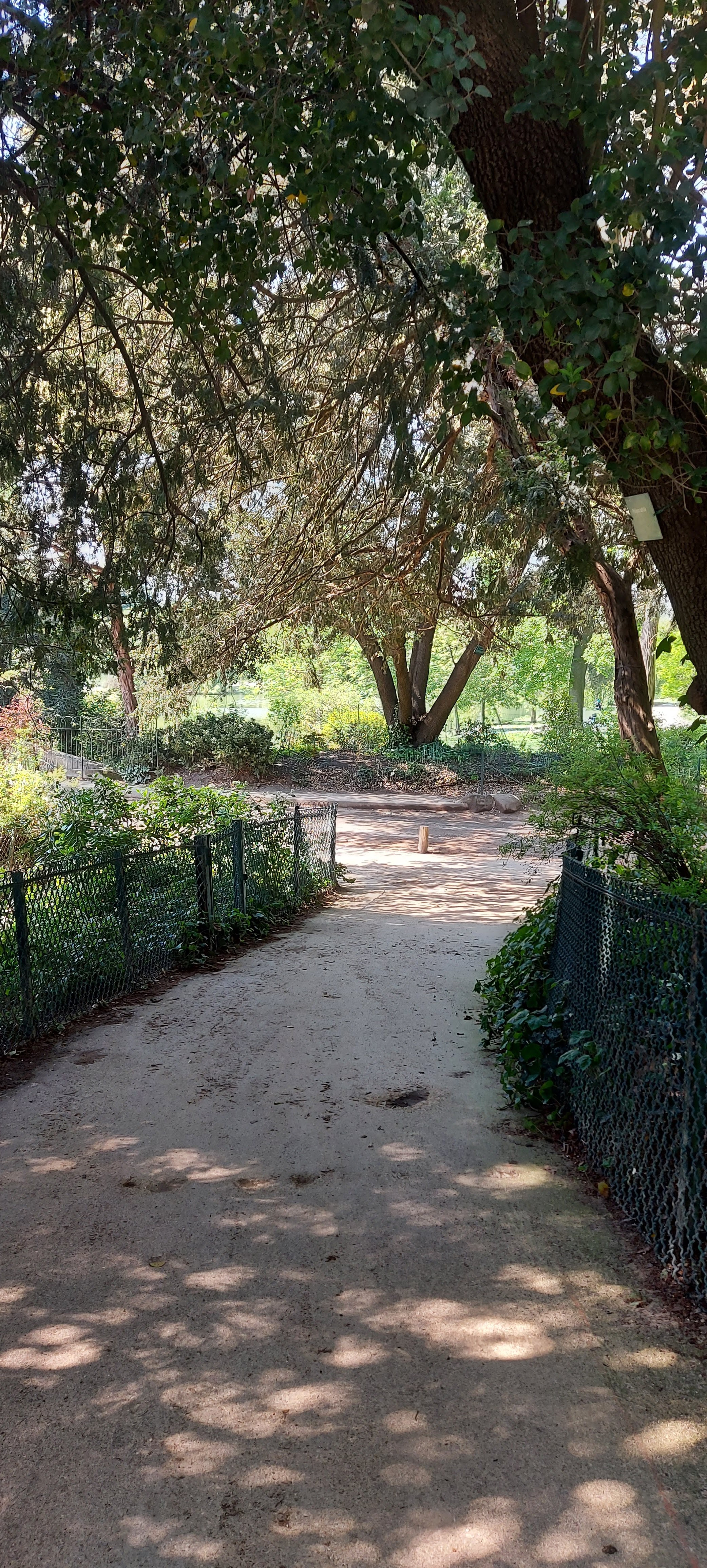 Photo n° 4 de l'avis de gwadilina.l fait le 12/05/2022 à 00:30