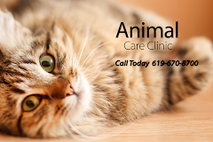 Animal Care Clinic