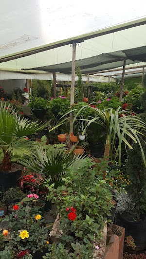 Vivero Montearroyo - photo 1