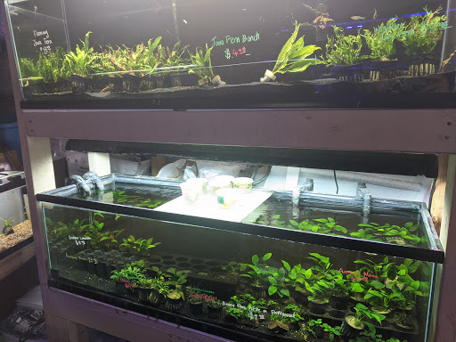 Tropical Fish Store «C K Fish World», reviews and photos, 410 N Azusa Ave, West Covina, CA 91791, USA