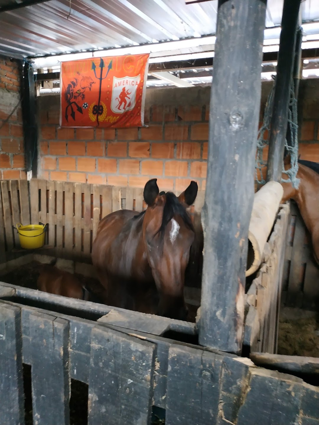 urbanizacion Anamaria