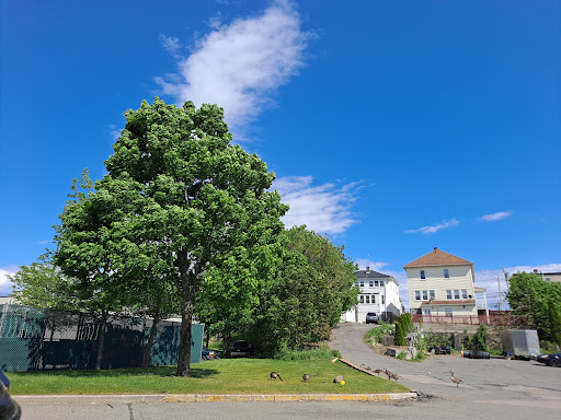 Video Game Store «GameStop», reviews and photos, 336 Providence Hwy, Dedham, MA 02026, USA