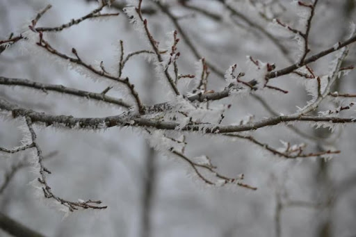 Park «Lake Rebecca Park Reserve», reviews and photos, 9831 Rebecca Park Trail, Rockford, MN 55377, USA