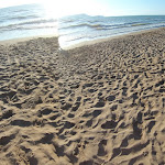 Photo n°1 de l'avis de Mihaela.r fait le 02/08/2019 à 11:11 sur le  Garden Toscana Resort à San Vincenzo