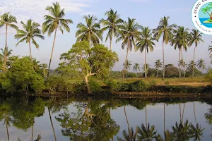 Exotic Goan Excursions image