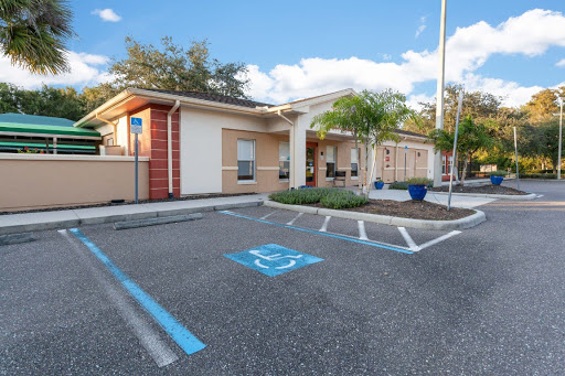 Preschool «Bright Horizons at Tampa Palms», reviews and photos, 5171 Cypress Preserve Dr, Tampa, FL 33647, USA