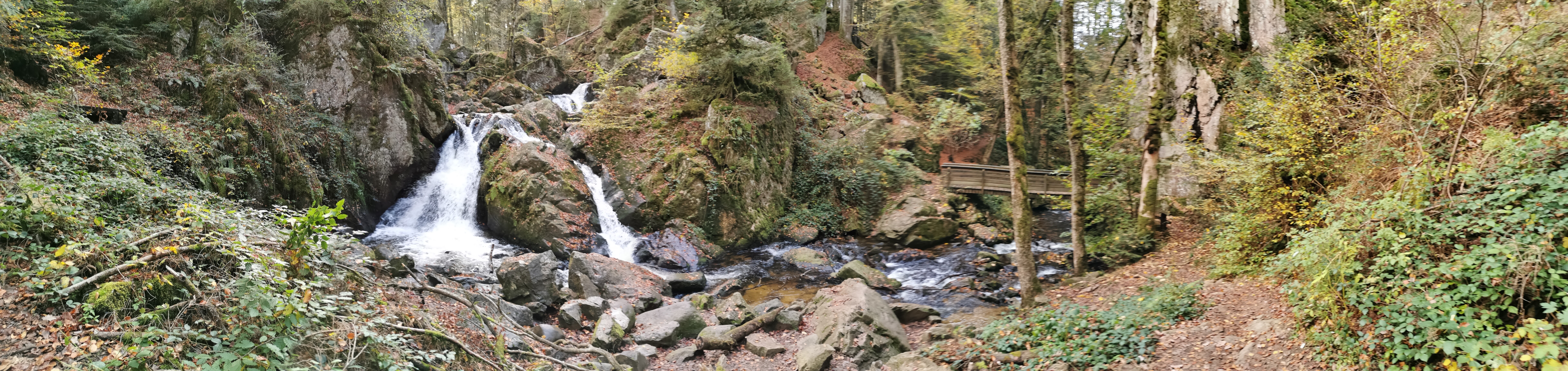 Photo n° 1 de l'avis de Aurélie.e fait le 14/11/2019 à 18:00