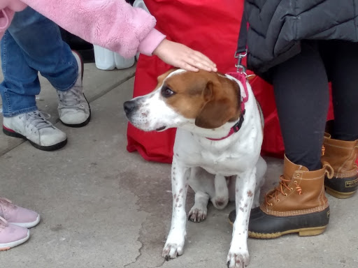 Pet Supply Store «Petco Animal Supplies», reviews and photos, 10060 US Highway 40 G-150, Ellicott City, MD 21042, USA