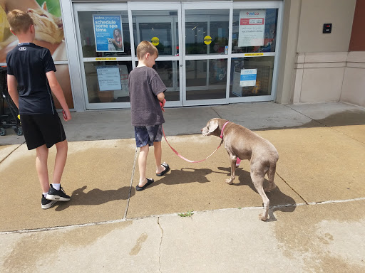 Pet Supply Store «Petco Animal Supplies», reviews and photos, 993 Branson Hills Pkwy, Branson, MO 65616, USA