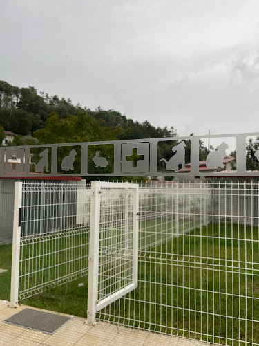 Centro Cirúrgico Veterinário Assafarge - Coimbra Número de telefone