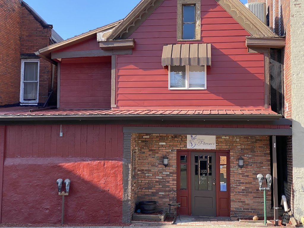 Studio Phoenix Salon 15425