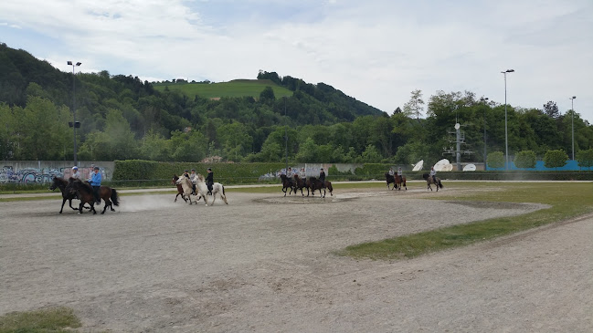 Islandpferdezentrum Sólfaxi AG - Münsingen