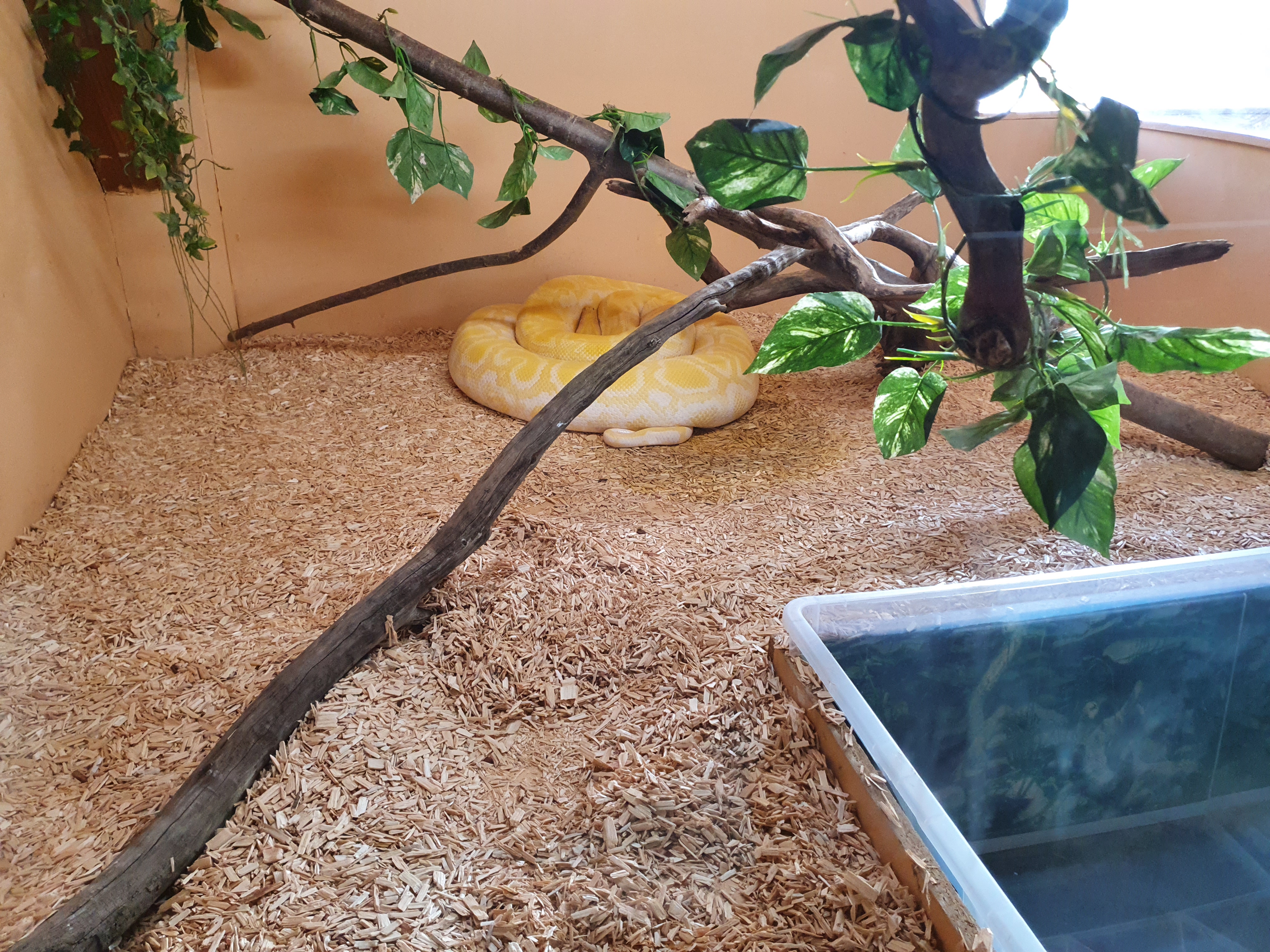 Photo n° 5 de l'avis de Fontes.o fait le 05/03/2022 à 12:26