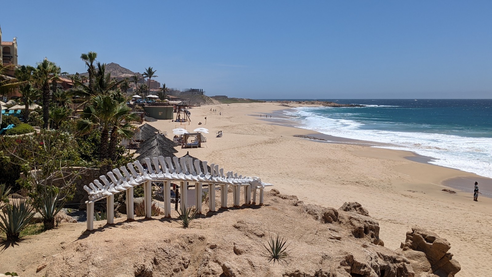 Fotografija Playa Sheraton los Cabos z svetel fin pesek površino