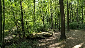 Bradley Woods Reservation - photo 4