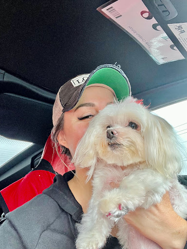 Pet Groomer «Splash and Dash Groomerie & Boutique», reviews and photos, 224 Peachtree East Shopping Center, Peachtree City, GA 30269, USA