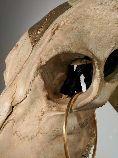 Art Museum «Blaffer Art Museum», reviews and photos, 4173 Elgin St, Houston, TX 77004, USA