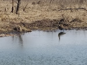 Saulsbury Bridge Recreation Area - photo 22