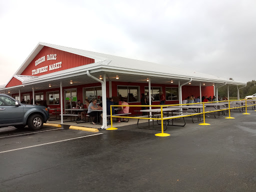 Goodson Farms Inc., 12405 Balm Rd, Balm, FL 33503, USA, 