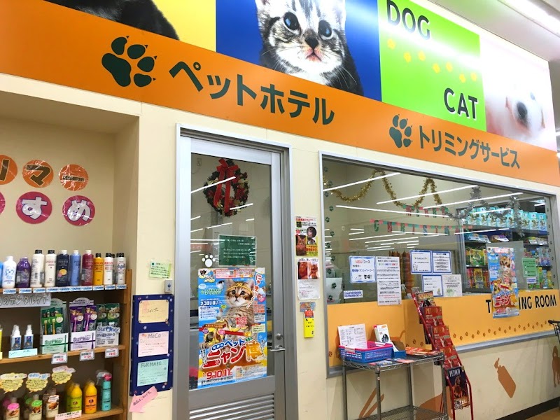 ペットランド西岡店 北海道札幌市豊平区西岡１条 ペットショップ ペット グルコミ