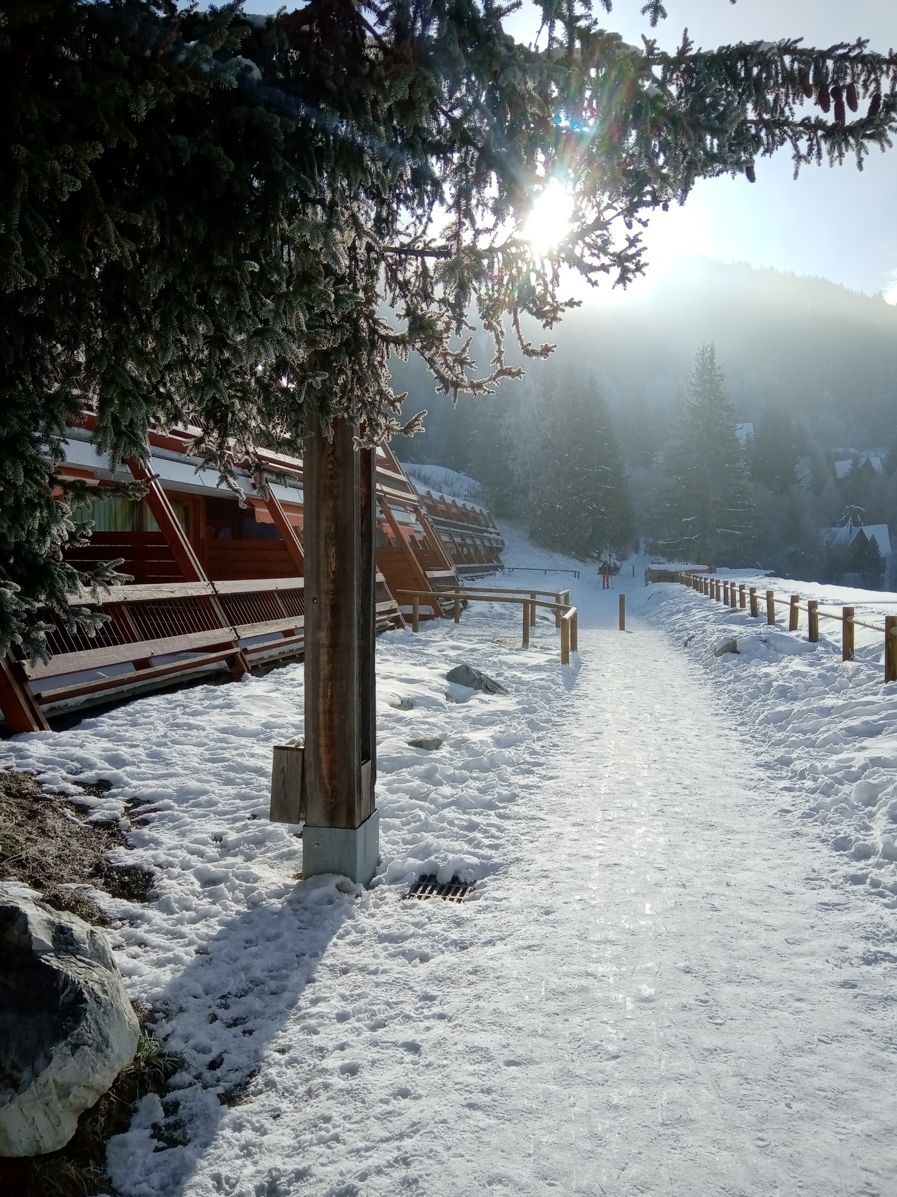 Photo n° 13 de l'avis de Laduig.6 fait le 29/01/2023 à 17:50