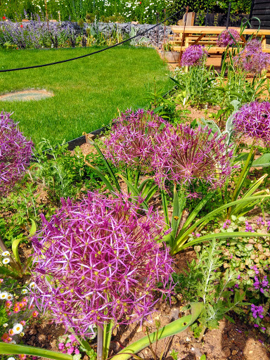 RSPB Flatford Wildlife Garden