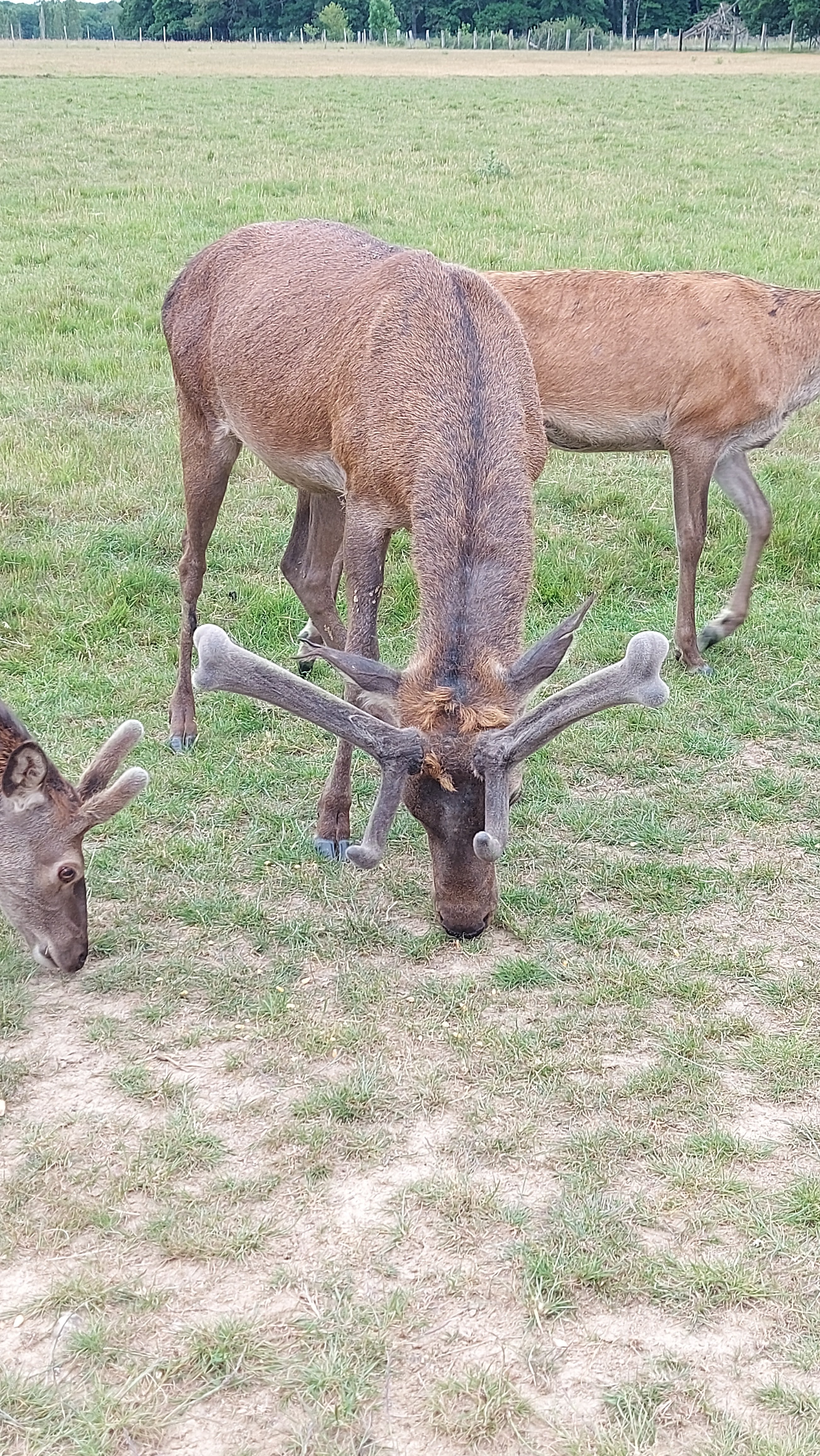Photo n° 7 de l'avis de Anais. fait le 29/05/2022 à 19:46