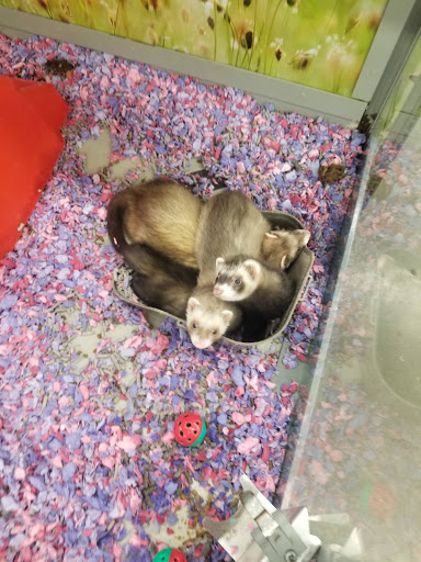 Pet Supply Store «Petco Animal Supplies», reviews and photos, 1007 Ten Rod Rd, North Kingstown, RI 02852, USA