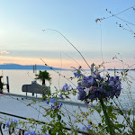 Photo n°1 de l'avis de Jeanine.. fait le 22/08/2023 à 06:45 sur le  Hotel Du Lac Gardone Riviera à Gardone Riviera