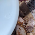 Photo n°6 de l'avis de Michela.o fait le 27/12/2021 à 00:30 sur le  Trattoria Pigneto Roma à Rome