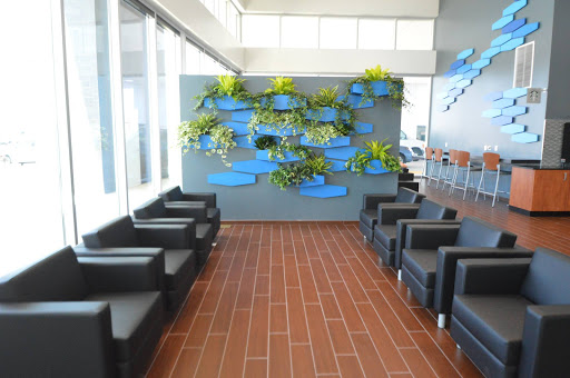 Subaru Dealer «Frank Subaru», reviews and photos