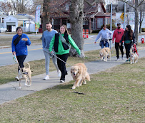 Good Company Dogs - Photo 5 - Car repair in , New Bedford