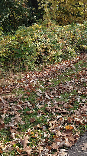 Park «Shawnee Park», reviews and photos, 6515 Scheel Dr, Woodbury, MN 55125, USA