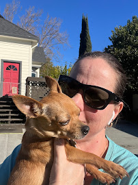 Pet Lovers Hotel Pet - Photo 3 - Car repair in San Jose, CA, San Jose