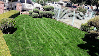 Iguana Landscaping - Photo 2 - Car repair in , Stockton