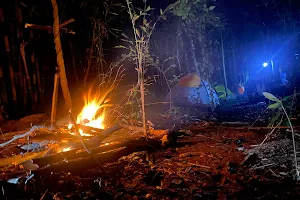 Jungle Environment Survival Training Camp image