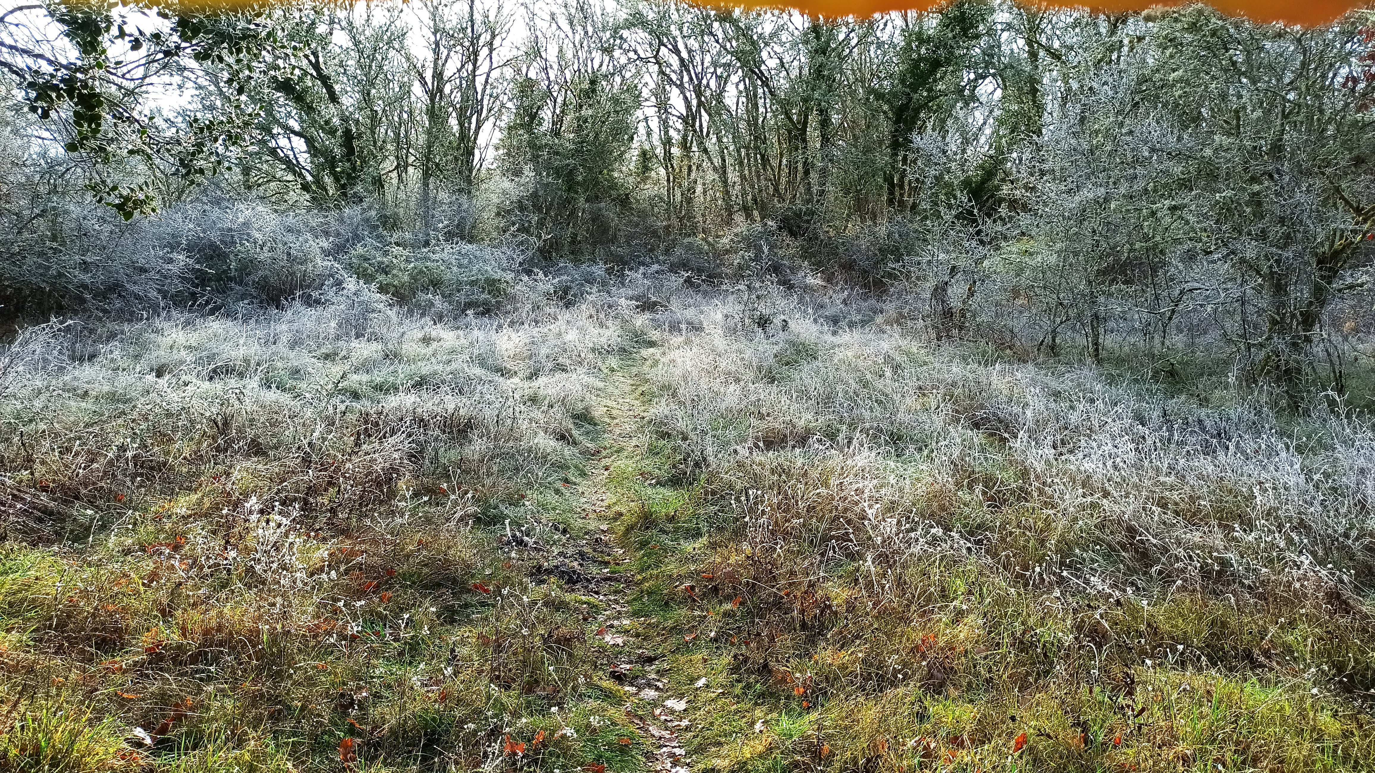 Photo n° 39 de l'avis de Veltas. fait le 30/10/2019 à 11:55