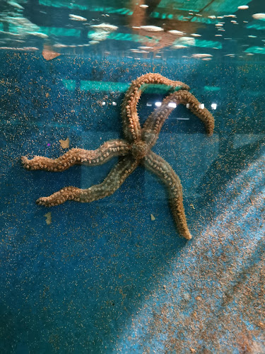 Corfu Aquarium - Κέρκυρα